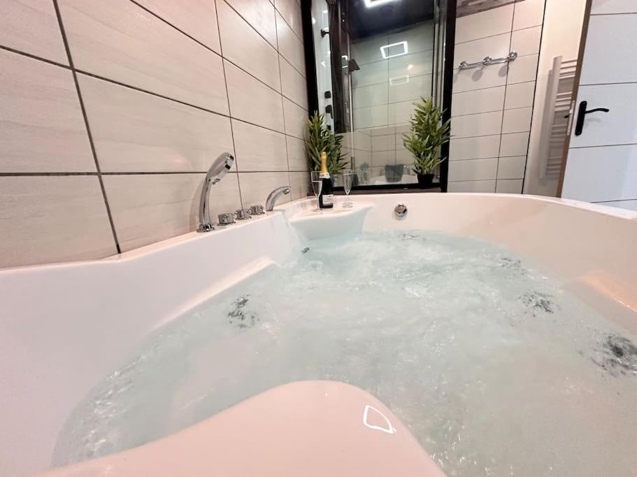 E Servagnat T3 Luxe Avec Sauna Jacuzzi Et Hammam Épernay Buitenkant foto